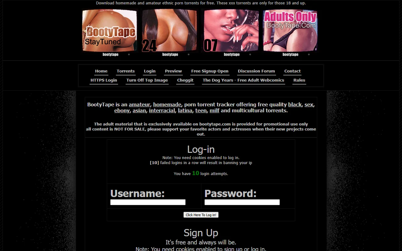 Screenshot of Bootytape